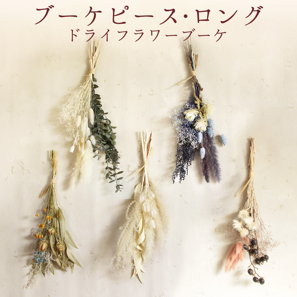 楽天市場】【P10倍 12/31まで！】 ドライフラワー 花材 即日出荷 三又
