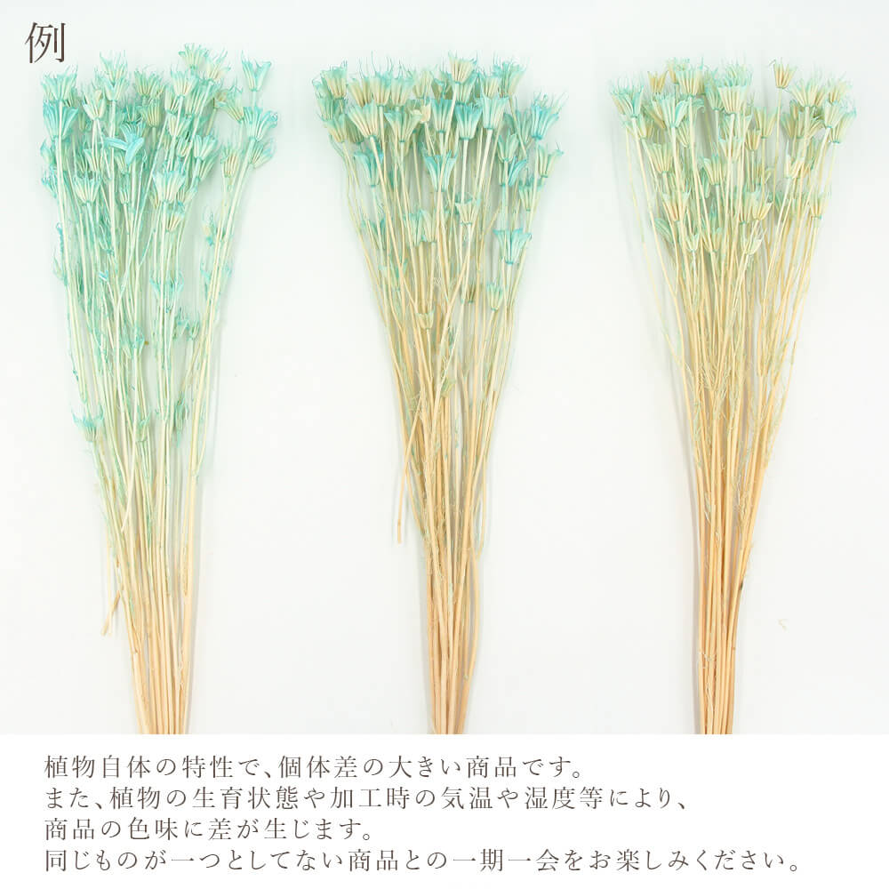 初回限定お試し価格】 アグリズ 店ユニチカ 水稲育苗箱 置床用 不織布 ラブシート ブラック 210cm×100m 5本入 20307BKD 