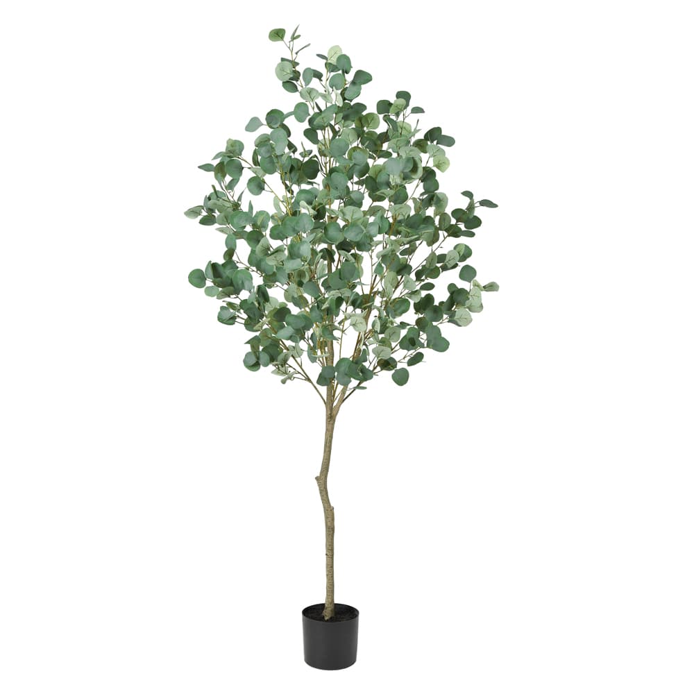23948円 いラインアップ 《 フェイクグリーン 観葉植物 》 とりよせ品 Asca アスカ ユーカリ ポット付 180cm《代引不可 他商品との同梱不可》 グレイグリーン観葉植物 1.8m 大型 おしゃれ 人工観葉