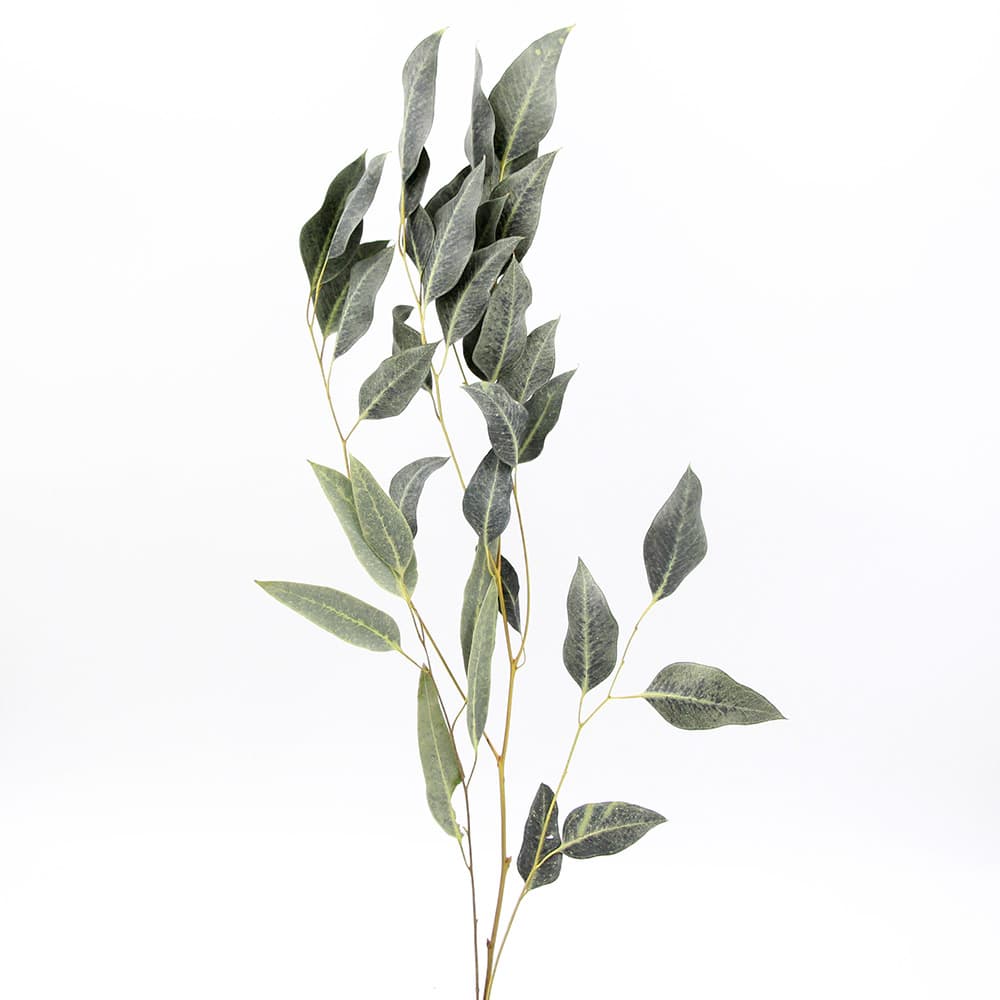 ドライフラワー 花材 とりよせ品 大地農園 ウィローユーカリドライ 自然素材 ナチュラルドライフラワー インテリア インテリアフラワー プリ プリザ プリザーブド ハーバリウム スワッグ ワークショップ 造花ドライフラワー専門問屋花びし はなどんやアソシエ直送