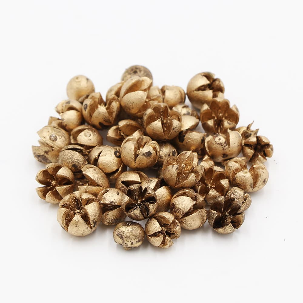 楽天市場】【P10倍 12/31まで！】 ドライフラワー 花材 即日出荷