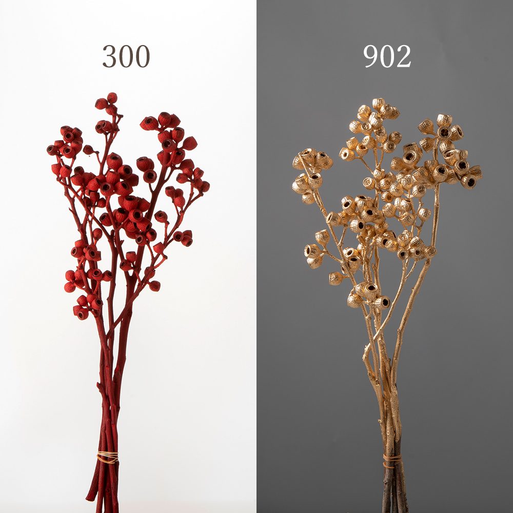 楽天市場】ドライフラワー 花材 即日出荷 野バラの実・トゲつき