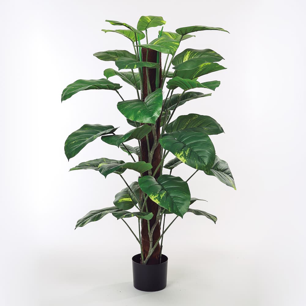 フェイクグリーン 観葉植物 【メーカー直送品】 ポトスヘゴポット 120cm《代引不可・他商品との同梱不可》 観葉植物 観葉樹 フェイクグリーン リーフ おしゃれ 南国風 安い｜造花ドライフラワー専門問屋花びし 12,197円