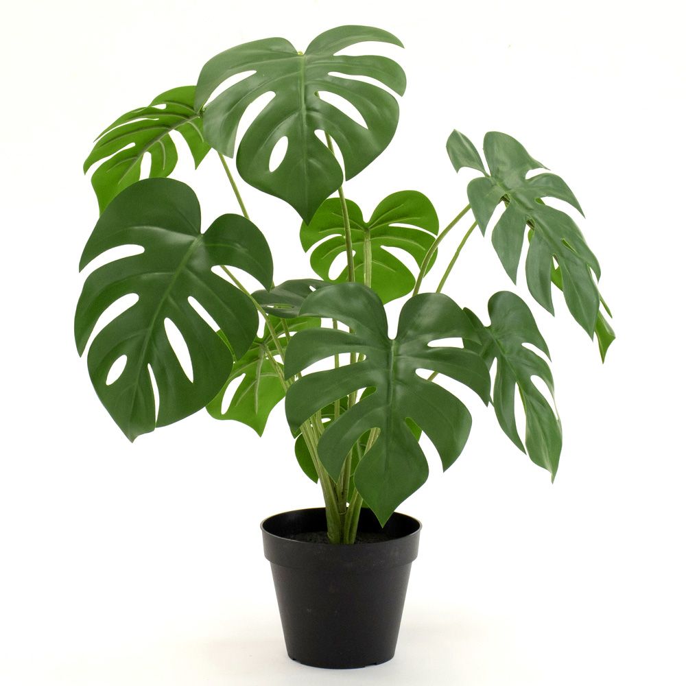造花 グリーン とりよせ品 モンステラポット＜br /＞ ＜br /＞ モンステラ 観葉樹 観葉植物 フェイクグリーン リーフ インテリアグリーン おしゃれ ポット 南国 トロピカル 大きい パーツ 春