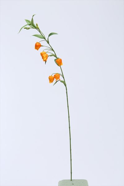 楽天市場 造花 とりよせ品 花びし サンダーソニア オレンジインテリア インテリアフラワー 造花ドライフラワー専門問屋花びし