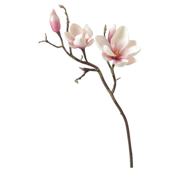 楽天市場 造花 とりよせ品 Asca アスカ マグノリア 2 つぼみ 2 クリームモーブ和 木蓮 モクレン インテリア インテリアフラワー フェイクフラワー シルクフラワー インテリアグリーン 花材 花資材 造花ドライフラワー専門問屋花びし
