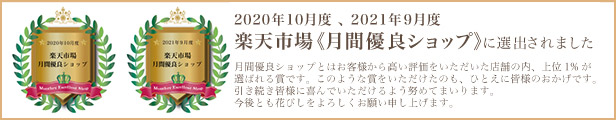 楽天市場】《 アレンジベース 》◇とりよせ品◇SG Wonder zone アイアンチェアークリスタル付S ワイヤー 壁掛け インテリア 花資材 花器  ベース アレンジ 安い 装飾 フラワーアレンジメント 土台 正月 : 造花ドライフラワー専門問屋花びし