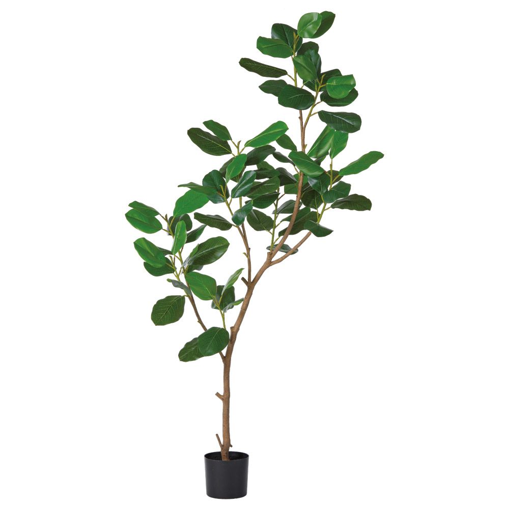 フェイクグリーン 観葉植物 【メーカー直送品】 ゴムの木（ポット付）《代引決済・他商品と同梱不可》 観葉植物 1m おしゃれ 人工観葉 ラバーツリー アスカ ASCA アスカ商会｜造花ドライフラワー専門問屋花びし 27,581円