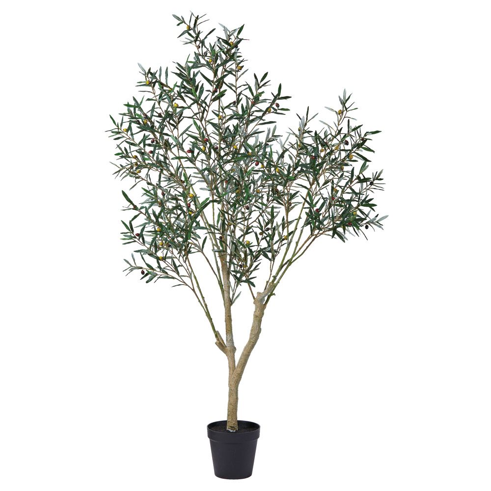 フェイクグリーン 観葉草木 【製造会社直送品】 オリーブ（ポット付）《代引決済・他商いものと同梱不可》\u003cbr /\u003e \u003cbr /\u003e 観葉草木 2.3m 今めかしい 人工観葉 実付き添い人 大型 アスカ ASCA アスカ会社