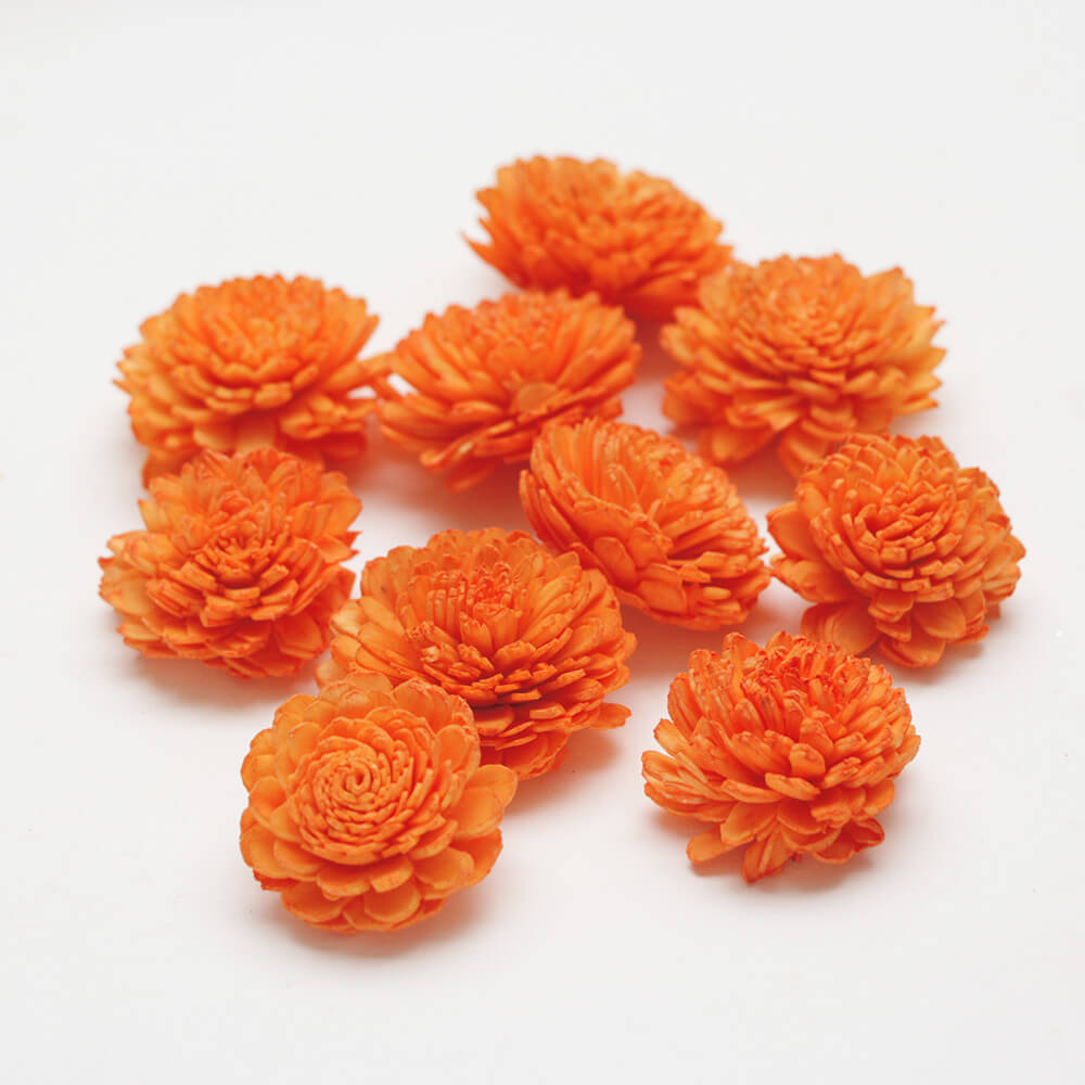 ダリアのドライフラワー　コンパクト一杯 ダリアのドライフラワー コンパクト一杯