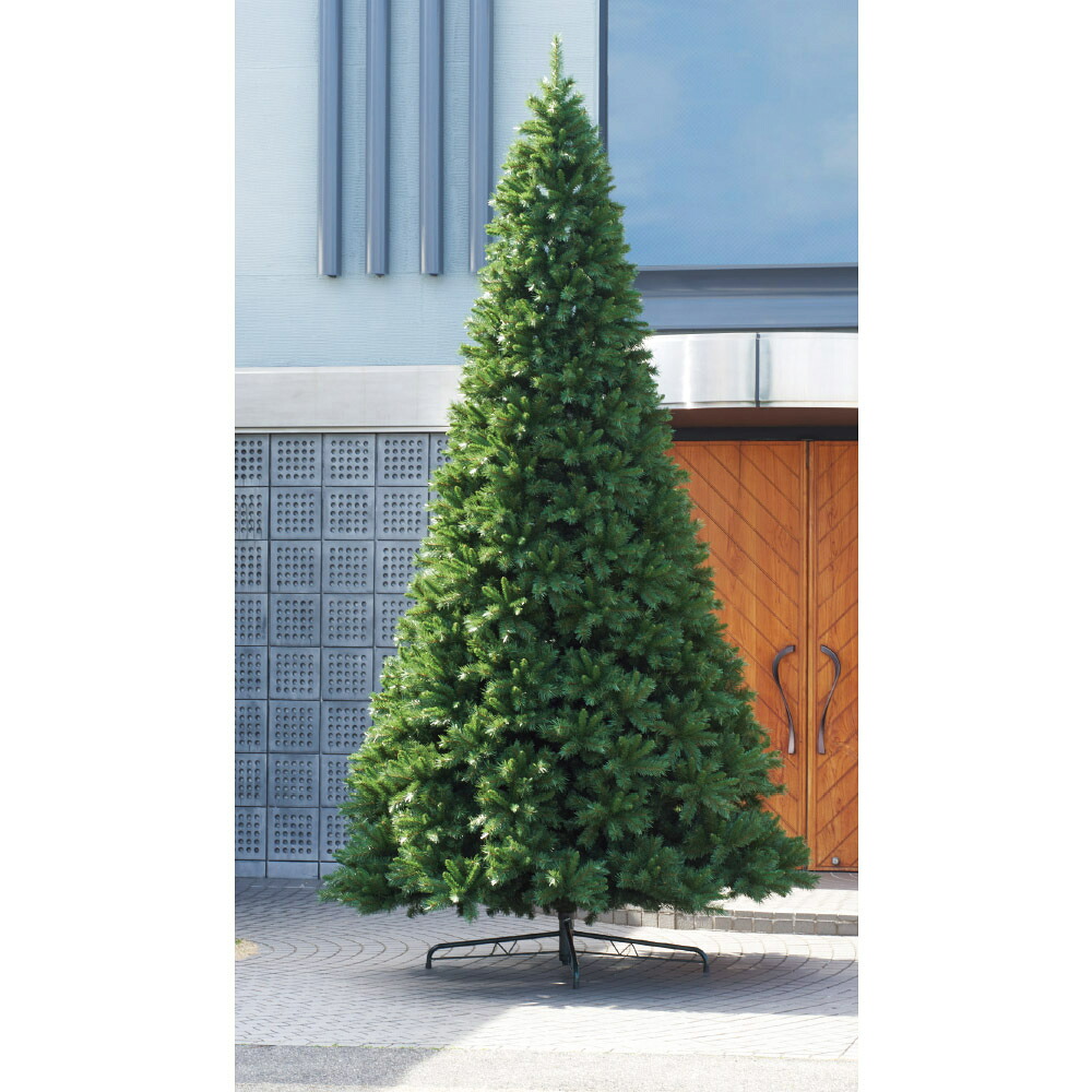 クリスマス 天然木 馬鹿でかい 【製造会社直送品】 ジャンボ天然木《代引決済・他商いものと同梱不可》\u003cbr /\u003e \u003cbr /\u003e 人工草木 似たり緑であること 人工観葉 クリスマス ヨーロッパ樅 特殊 個人的特徴的 クリスマス取り合わせる 申し合わせ 大型 アスカ ASCA アスカ会社