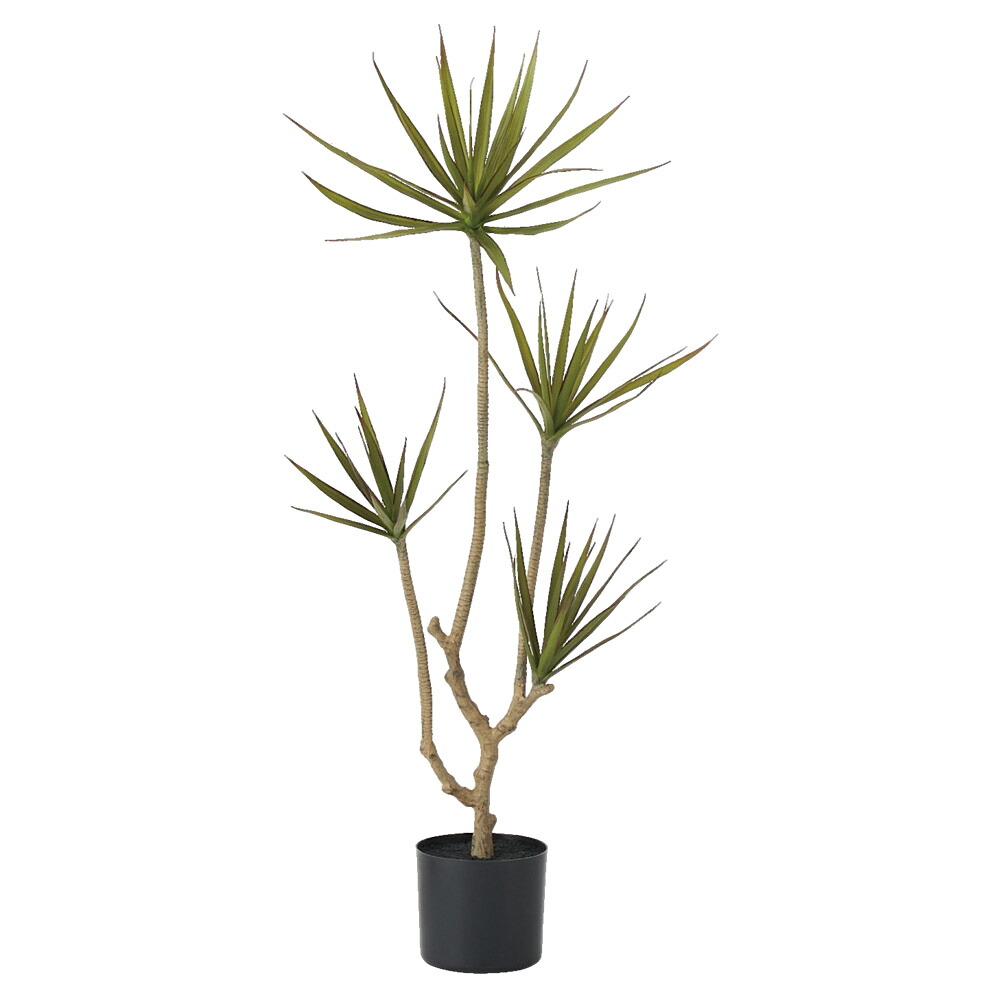 【P10倍中 4/10 9:59まで】 フェイクグリーン 観葉植物 【メーカー直送品】 ドラセナ(ポット付) 120cm《代引決済・他商品と同梱不可》＜br /＞ ＜br /＞ ドラゴンツリー 幸福の木 1.2m 屋内装飾 アスカ ASCA アスカ商会