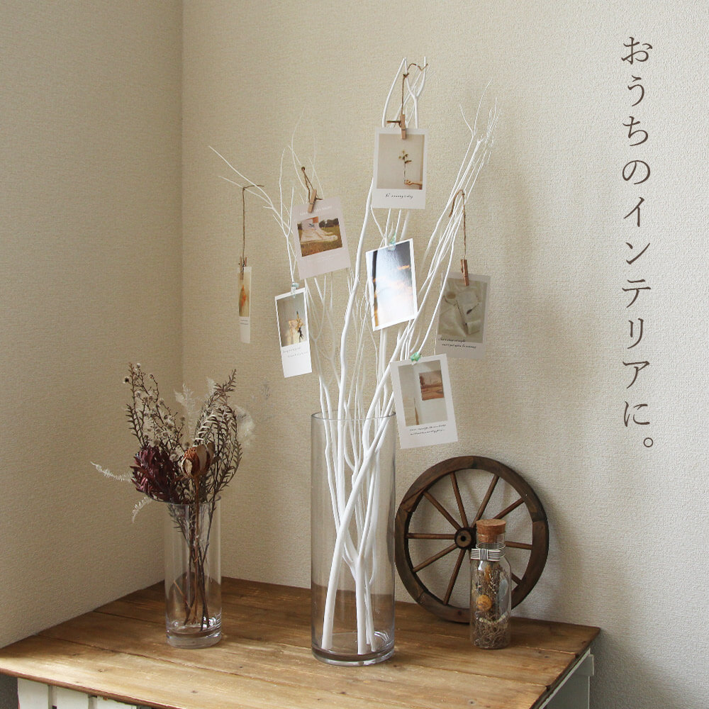 ドライフラワー 花材 即日出荷 三又(100cm) 白 枝 三又 ドライ ドライフラワー 花材 即日出荷 三又(100cm) 白 枝 三又 ドライ