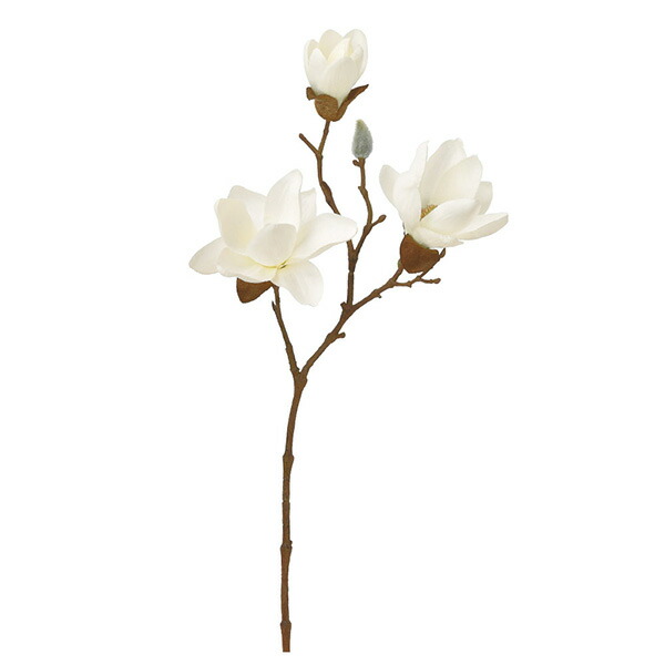 楽天市場 造花 とりよせ品 Asca アスカ マグノリアx3つぼみx1和 木蓮 モクレン インテリア インテリアフラワー フェイクフラワー シルクフラワー インテリアグリーン フェイクグリーン 花材 花資材 造花ドライフラワー専門問屋花びし