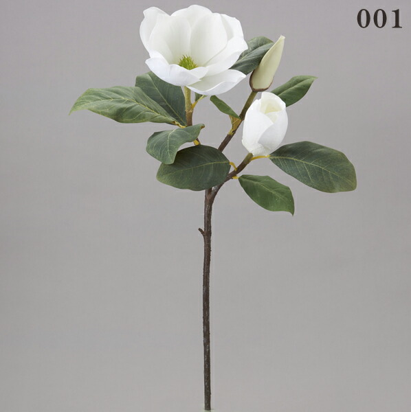 楽天市場 造花 とりよせ品 花びし マグノリア ホワイト和 木蓮 モクレン 造花ドライフラワー専門問屋花びし