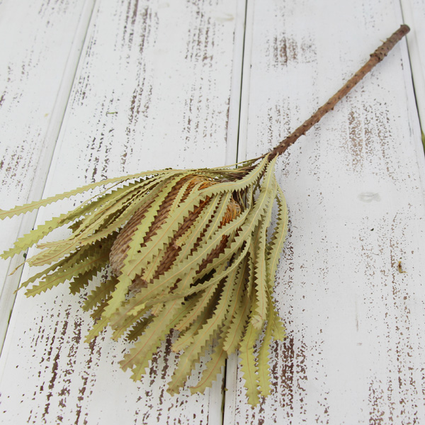 ✨人気花材❗️【204】50本 グレビリアゴールド　ドライ　スワッグ リース ✨人気花材❗️【204】50本 グレビリアゴールド ドライ スワッグ