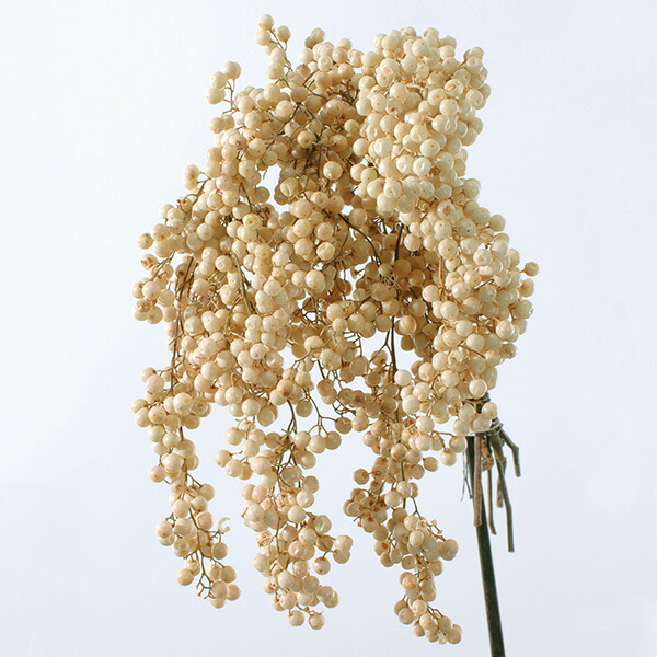 楽天市場】【P15倍 1/29まで！】 プリザーブドフラワー 花材 即日出荷