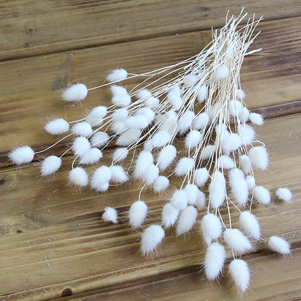 楽天市場】【P10倍 12/31まで！】 ドライフラワー 花材 即日出荷