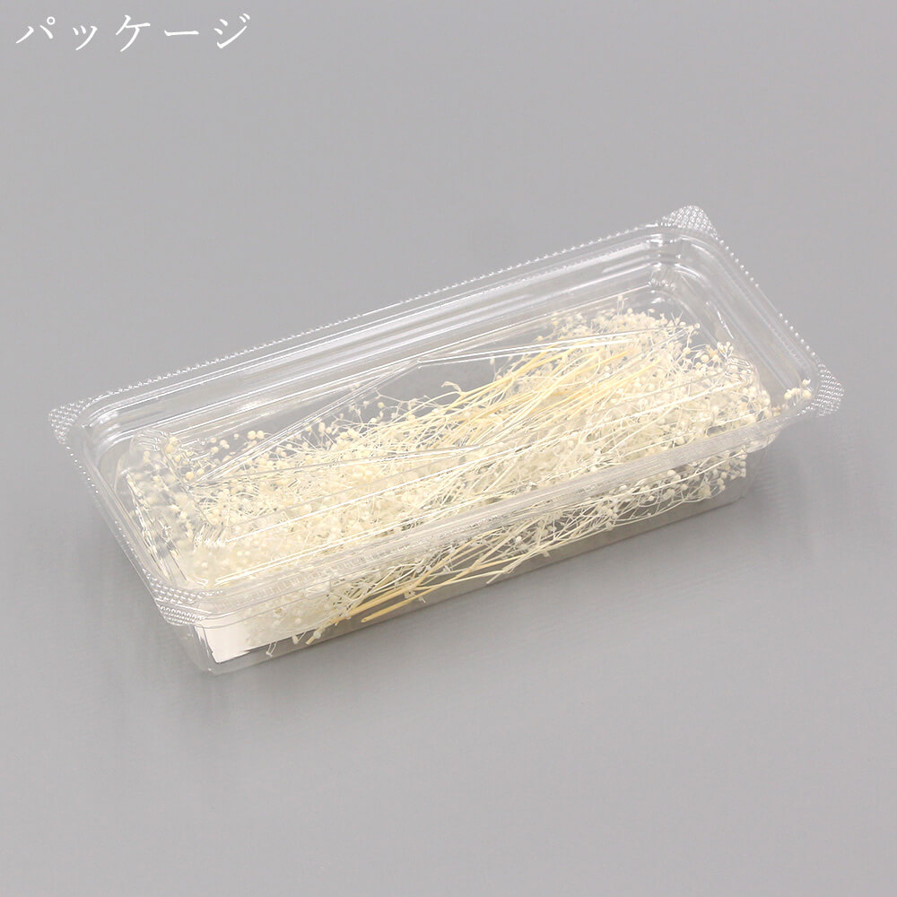 SALE／66%OFF】 《プリザーブドフラワー 花材》 即日出荷 大地農園 ソフトミニカスミ草 ヘッド 白 かすみ カスミ カスミ草 かすみ草  プリザーブドフラワー スワッグ ブーケ ドライフラワー プリザ 花束 ドライフラワースワッグ リース アレンジ 花材 素材 花  arabxxnxx.com