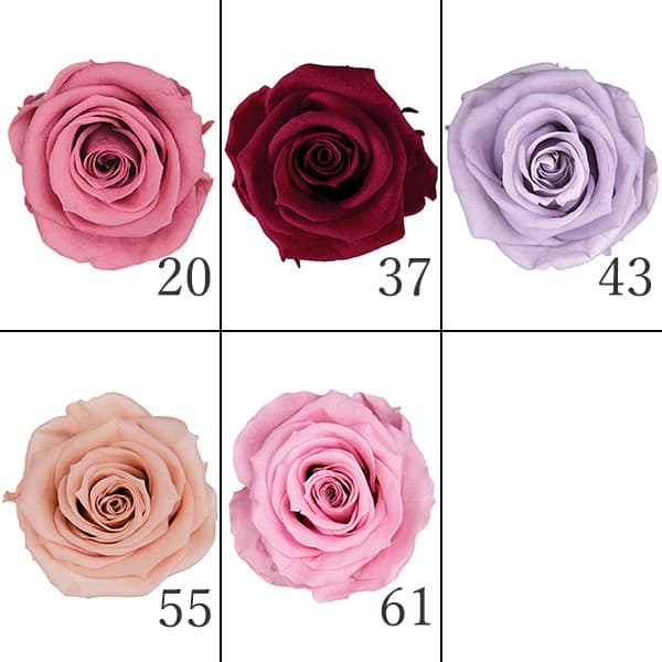 楽天市場】プリザーブドフラワー 花材 とりよせ品 スタンダードローズ