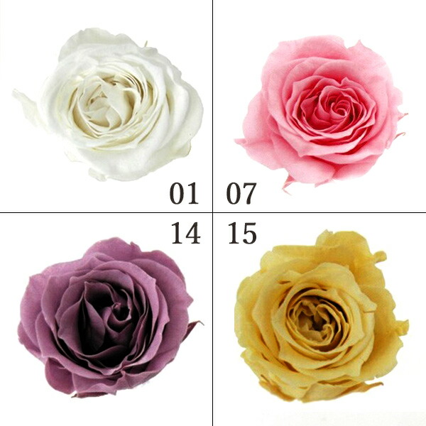 楽天市場】プリザーブドフラワー 花材 とりよせ品 スタンダードローズ