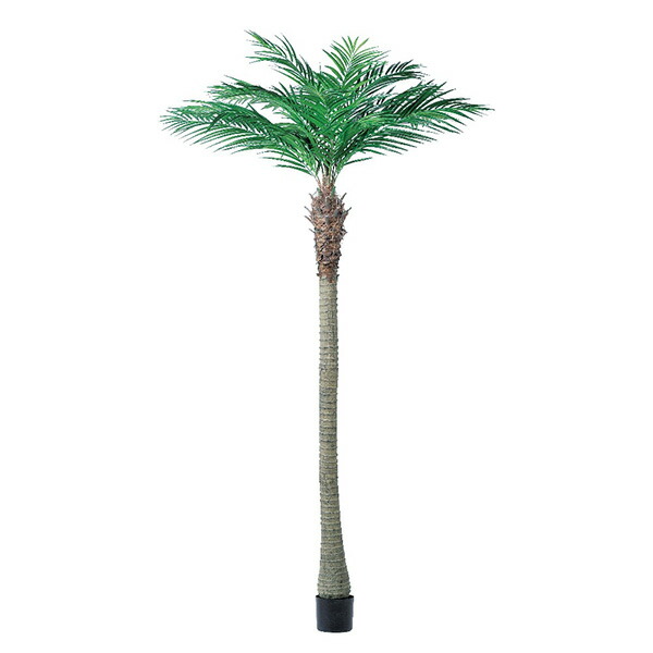 フェイクグリーン 観葉植物 とりよせ品 【メーカー直送品】 アレカパーム (ポット付) 240cm《代引不可・他商品との同梱不可》＜br /＞ ＜br /＞ 観葉植物 2.4m 大型 アスカ ASCA アスカ商会