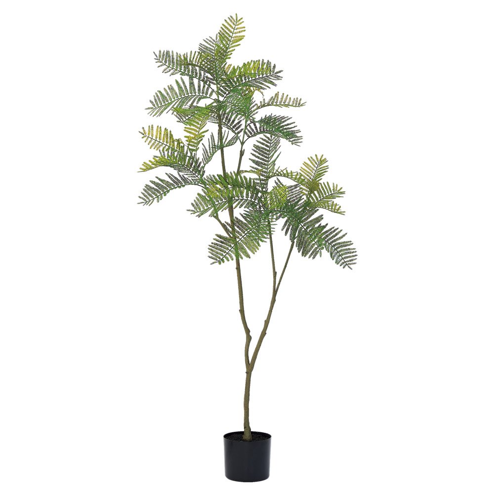 【P10倍中 4/10 9:59まで】 フェイクグリーン 観葉植物 【メーカー直送品】 エバーフレッシュ（ポット付） 《代引決済・他商品と同梱不可》＜br /＞ ＜br /＞ エバーフレッシュ ネムノキ 合歓木 アスカ ASCA アスカ商会