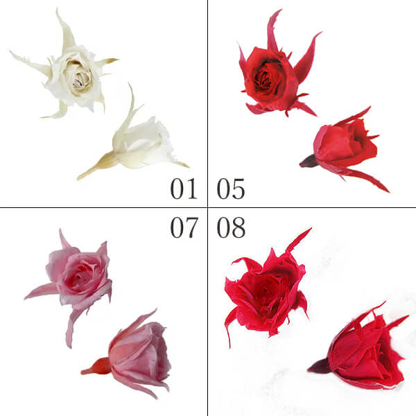 楽天市場】【P10倍 12/31まで！】 プリザーブドフラワー 花材 とりよせ