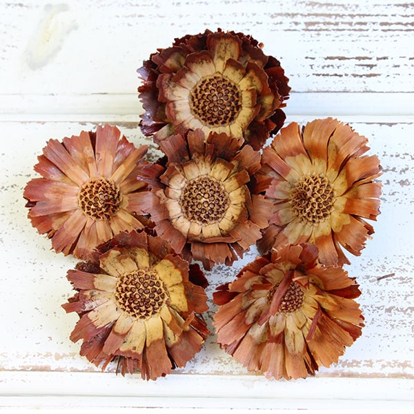 楽天市場】【P10倍 12/31まで！】 ドライフラワー 花材 即日出荷