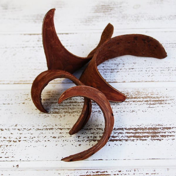 楽天市場】ドライフラワー 花材 即日出荷 カカオホール・小 ナチュラル