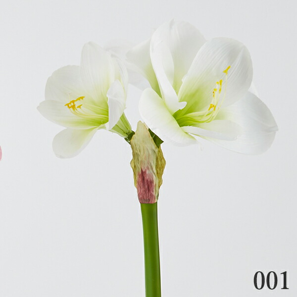 楽天市場 造花 とりよせ品 花びし アマリリスヒッペアストラム ホンアマリリス インテリア インテリアフラワー フェイクフラワー シルクフラワー インテリアグリーン フェイクグリーン アートフラワー 花材 春 造花ドライフラワー専門問屋花びし