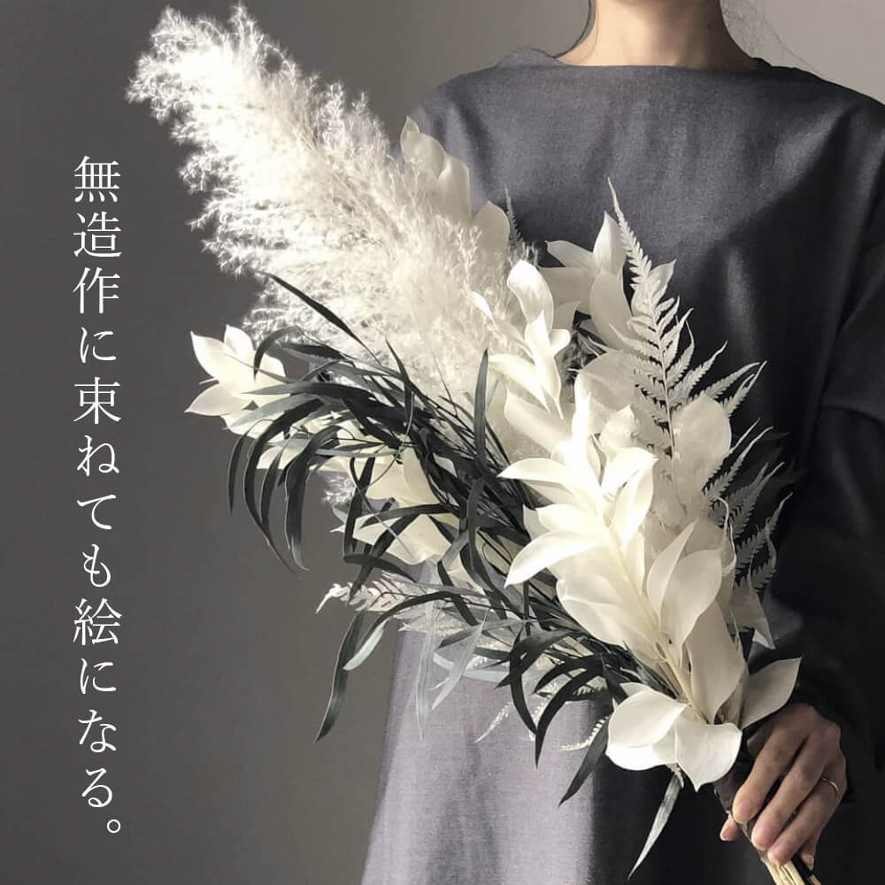 ドライフラワー 花材 即日出荷 ビッグテールリード パンパスグラス 穂