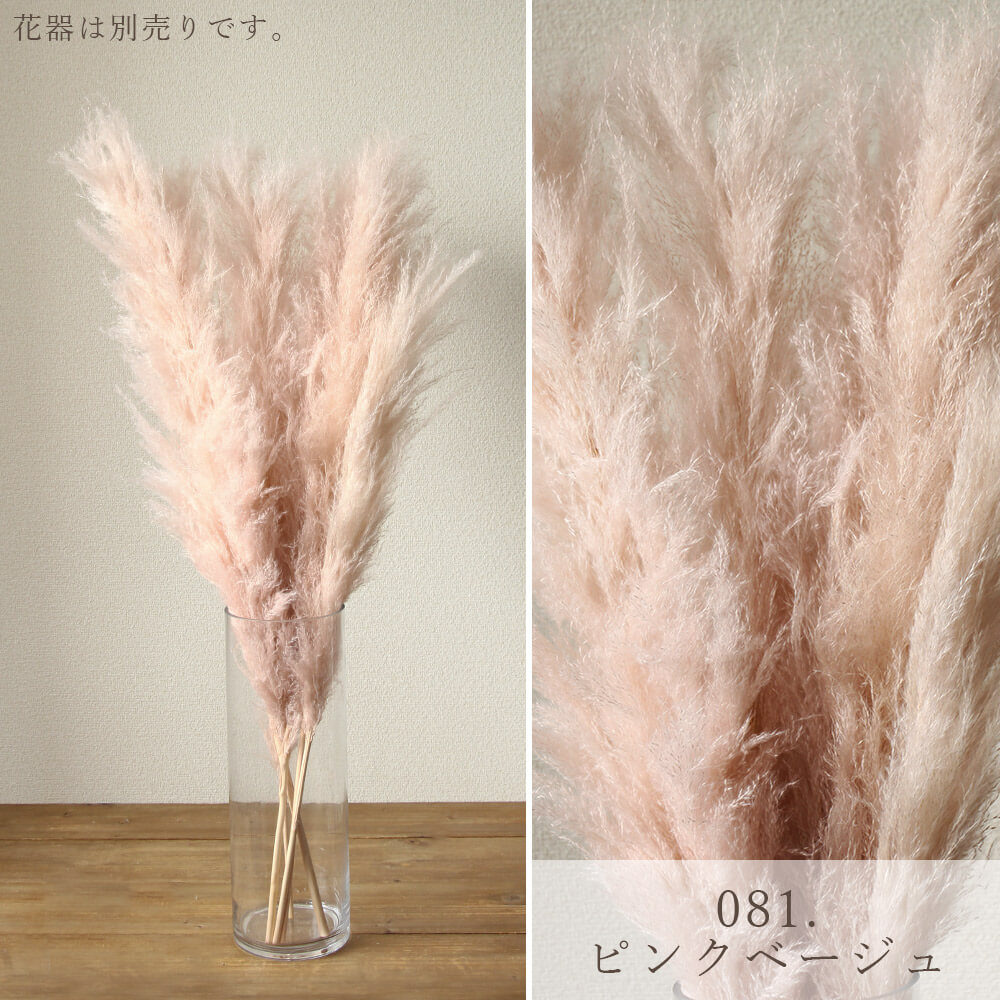 横長スワッグ スワッグ　ドライフラワー　ホワイト　ビッグテールリード 横長スワッグ スワッグ ドライフラワー ホワイト ビッグテールリード