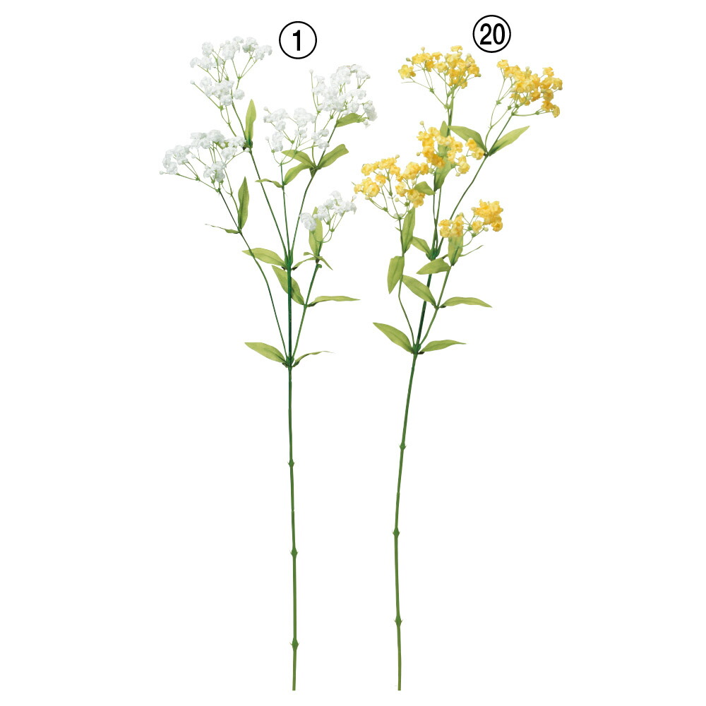 楽天市場】《 造花 》◇とりよせ品◇Asca(アスカ) ジプソフィラバンチ(1束10本)かすみ草 ジプソフィラ ギプソフィラ インテリア  インテリアフラワー フェイクフラワー シルクフラワー インテリアグリーン 花材 : 造花ドライフラワー専門問屋花びし