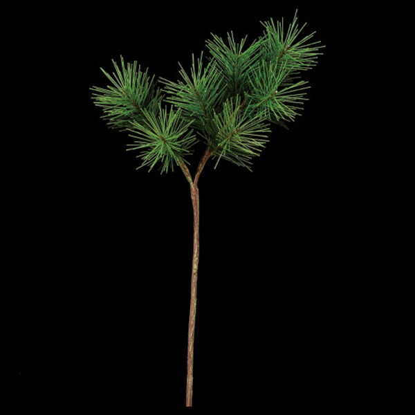松切り枝 楽天市場】松の枝【正月用 花材 松】全長約17cm 松の枝3個付(葉