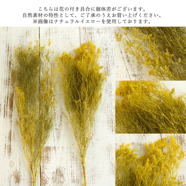 楽天市場 プリザーブドフラワー 即日出荷 大地農園 カスピア 花材 材料 アレンジ ナチュラルホワイトハーバリウム プリザーブドローズ プリ プリザーブド プリザーブド ブリザーブド Preserving 花 造花ドライフラワー専門問屋花びし 楽天市場 プリザーブドフラワー 即日出荷 大地農園 カスピア 花材 材料 アレンジ ナチュラルホワイトハーバリウム プリザーブドローズ プリ プリザーブド プリザーブド ブリザーブド Preserving 花 造花ドライフラワー専門問屋花びし