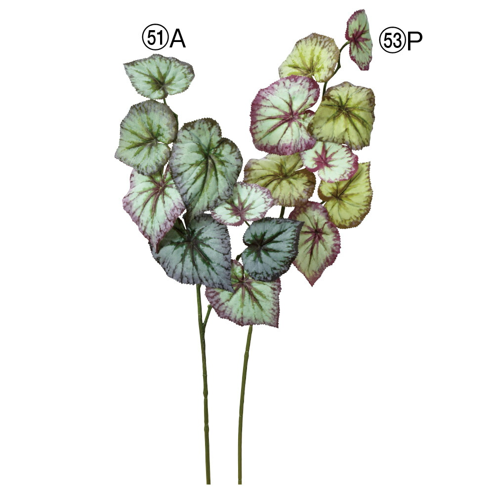 楽天市場 造花 グリーン とりよせ品 Asca アスカ ヒューケラインテリア フェイク 造花ドライフラワー専門問屋花びし