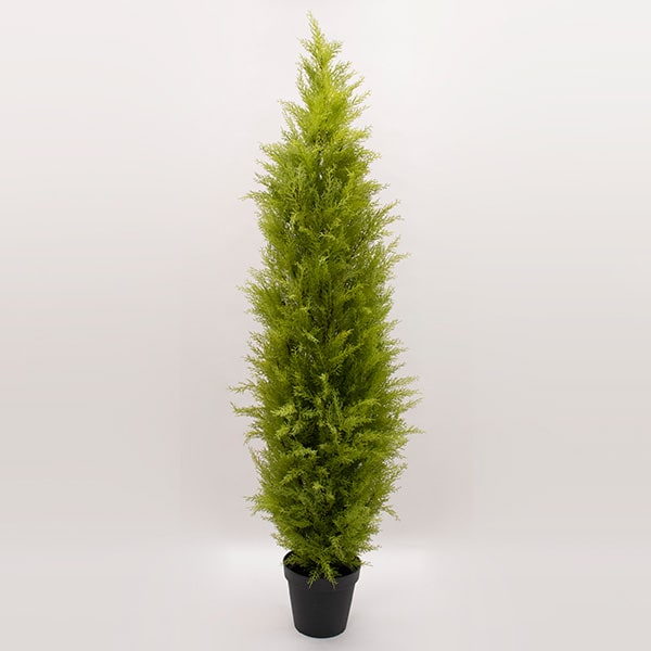 フェイクグリーン 観葉植物 【メーカー直送品】 ゴールドクレストポット(XL) 180cm《代引不可・他商品との同梱不可》＜br /＞ ＜br /＞ 観葉植物 観葉樹 フェイクグリーン リーフ おしゃれ 春