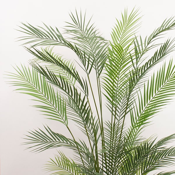 造花 グリーン 観葉植物 とりよせ品 花びし メーカー直送品 人工観葉 フェイクグリーン フェニックスパーム 代引決済 他商品との同梱不可 グリーン Cgco Org