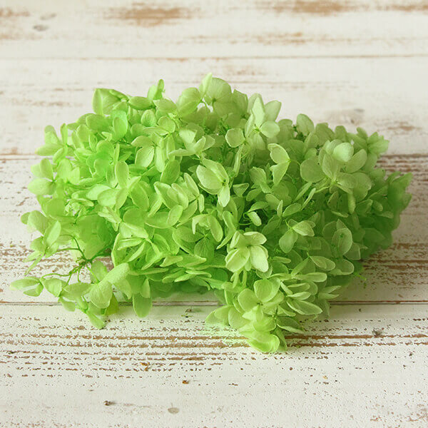 楽天市場】プリザーブドフラワー 花材 即日出荷 ソフトあじさい彩