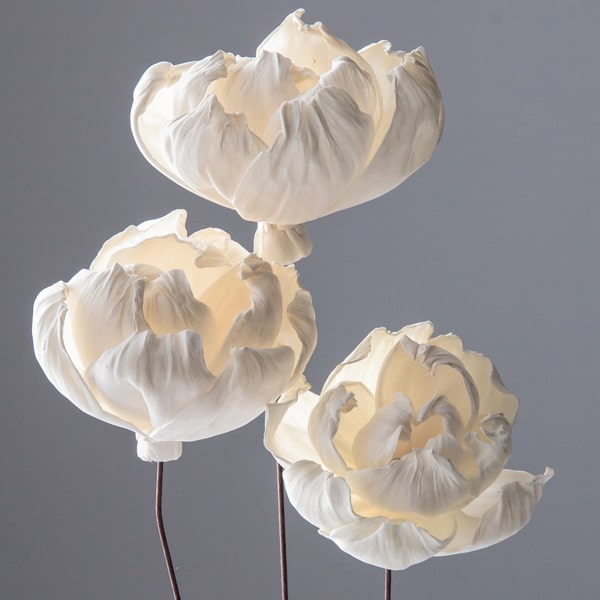 Sale 送料無料 オンリーワン 目的で選ぶ 植栽セット ハッピー チャイニーズホーリー 鬼門除け Sz6 Set08 クライマックスセール Kindermomma Com