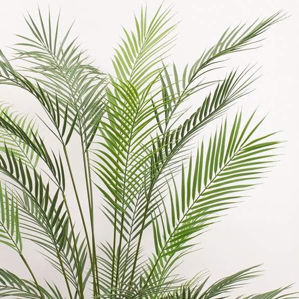 《フェイクグリーン観葉植物》◆とりよせ品◆花びし【メーカー直送品】フェニックスパームポット142cm《代引決済・他商品との同梱不可》グリーン観葉植物1.4mおしゃれ人工観葉インテリア春