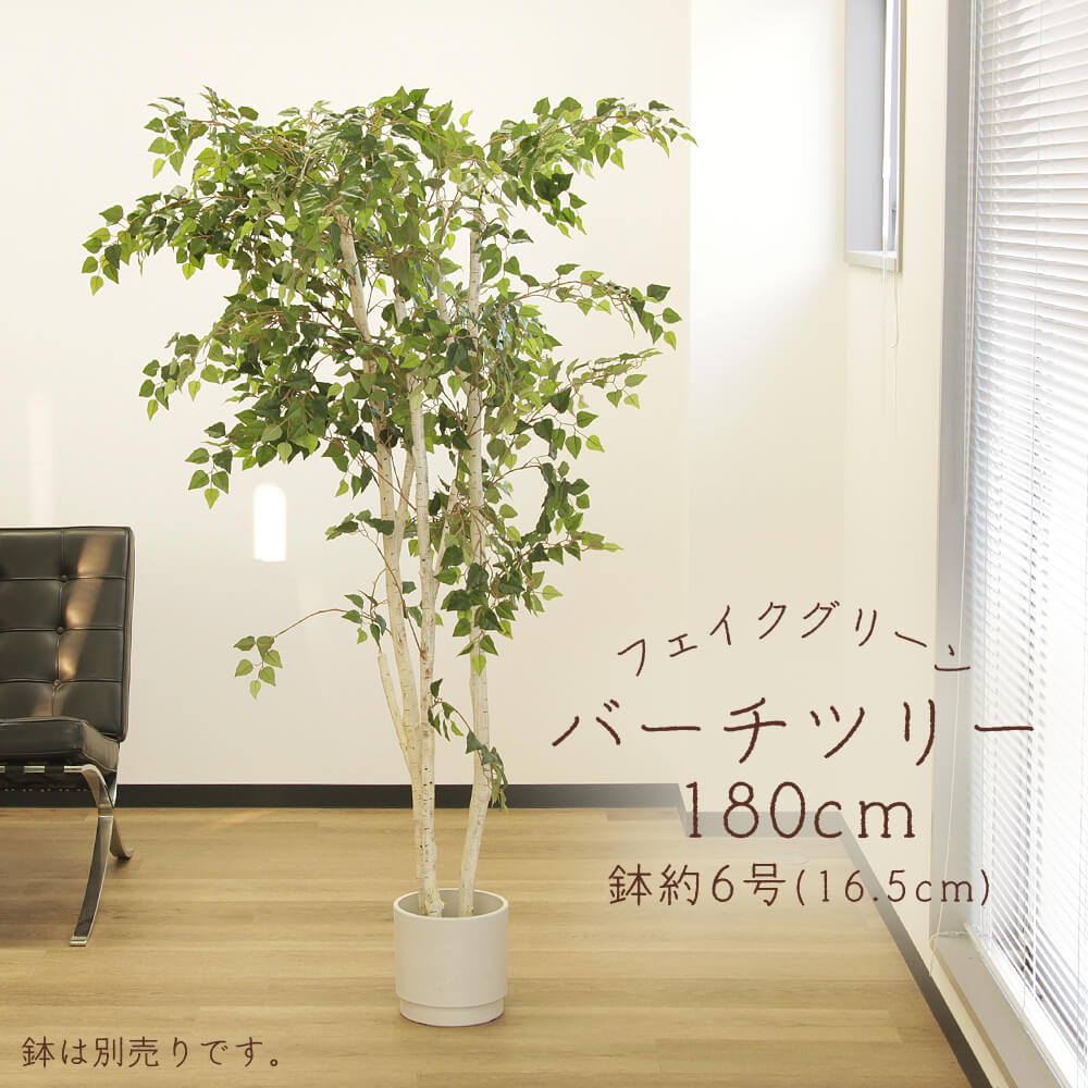 フェイクグリーン 観葉植物 とりよせ品 【メーカー直送品】 バーチツリー (ポット付) 180cm《代引不可・他商品との同梱不可》＜br /＞ ＜br /＞ 観葉植物 1.8m 大型 春 アスカ ASCA アスカ商会