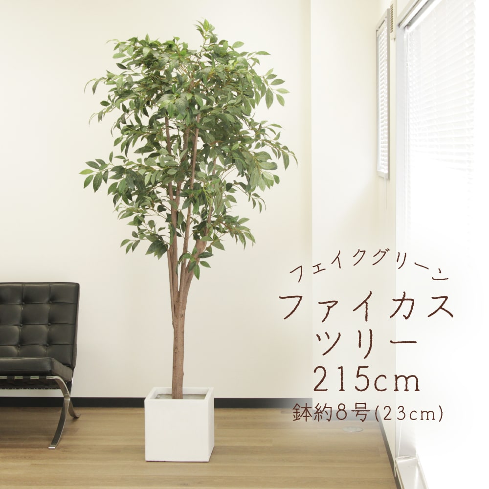 フェイクグリーン 観葉植物 とりよせ品 【メーカー直送品】 ファイカスツリー (ポット付) 215cm《代引不可・他商品との同梱不可》＜br /＞ ＜br /＞ 観葉植物 2m 大型 アスカ ASCA アスカ商会