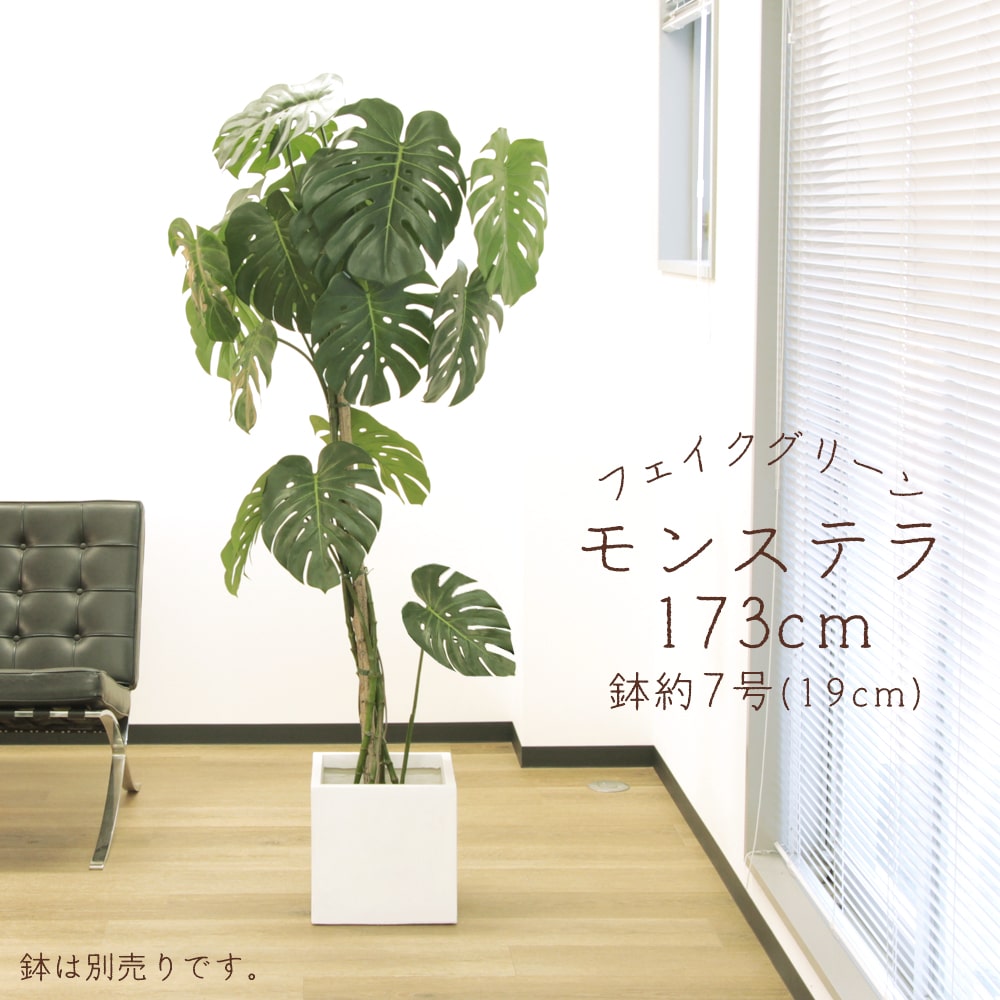 フェイクグリーン 観葉植物 とりよせ品 【メーカー直送品】 モンステラポット 173cm《代引不可・他商品との同梱不可》＜br /＞ ＜br /＞ 観葉植物 1.7m 大型 人工観葉 アスカ ASCA アスカ商会