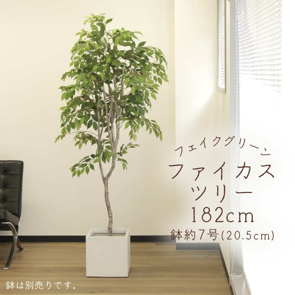 フェイクグリーン 観葉草木 とりよせ品 【製造業者直送】ファイカスツリー(ポット付)180糎《代引不可・他商いものとの同梱不可》\u003cbr /\u003e \u003cbr /\u003e 観葉草木 1.8m 大型 春 アスカ ASCA アスカ人中