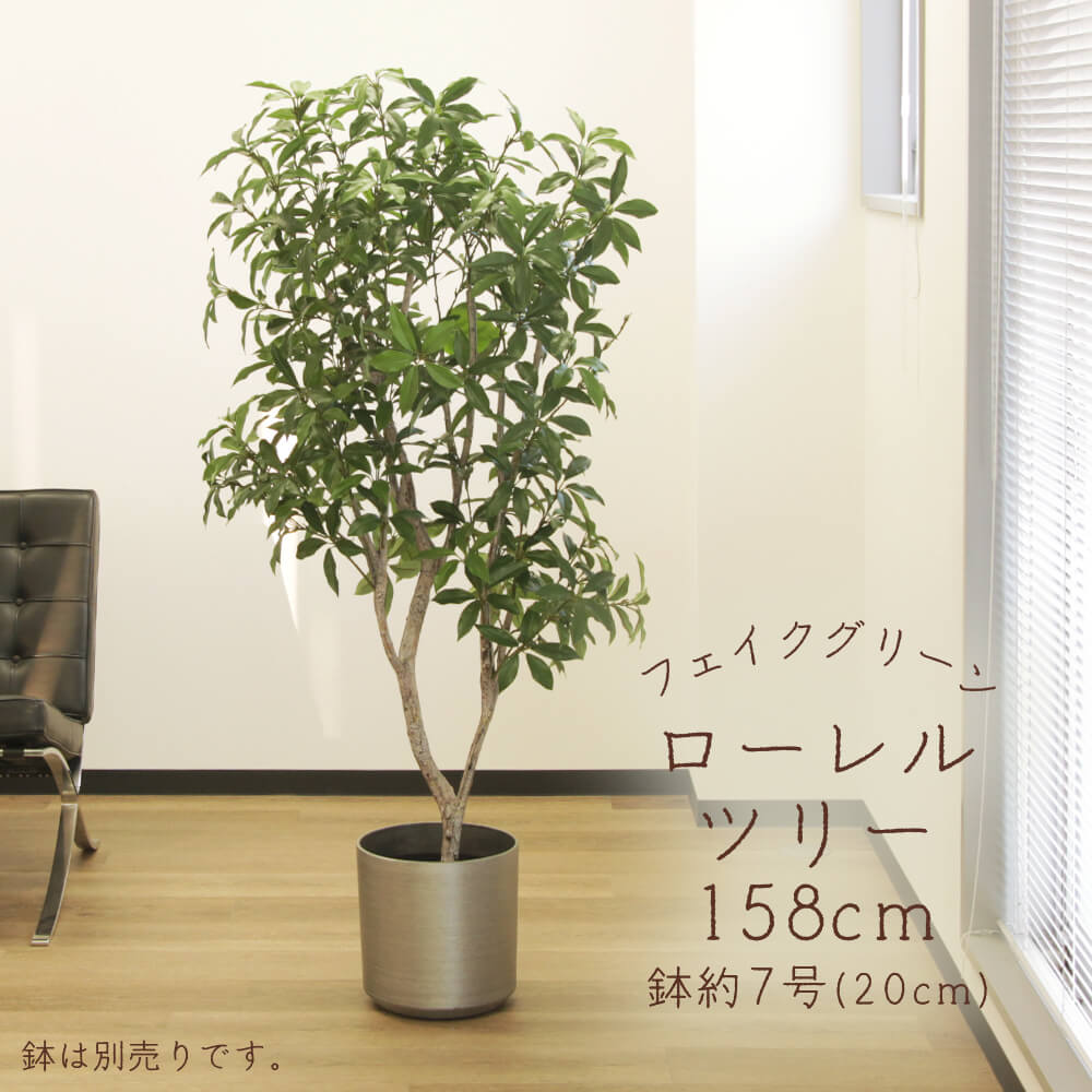 フェイクグリーン 観葉草木 とりよせ品 【製造業者直送】ローレルツリー(ポット付)158糎《代引不可・他商いものとの同梱不可》\u003cbr /\u003e \u003cbr /\u003e 観葉草木 1.5m 大型 安上がり アスカ ASCA アスカ人中