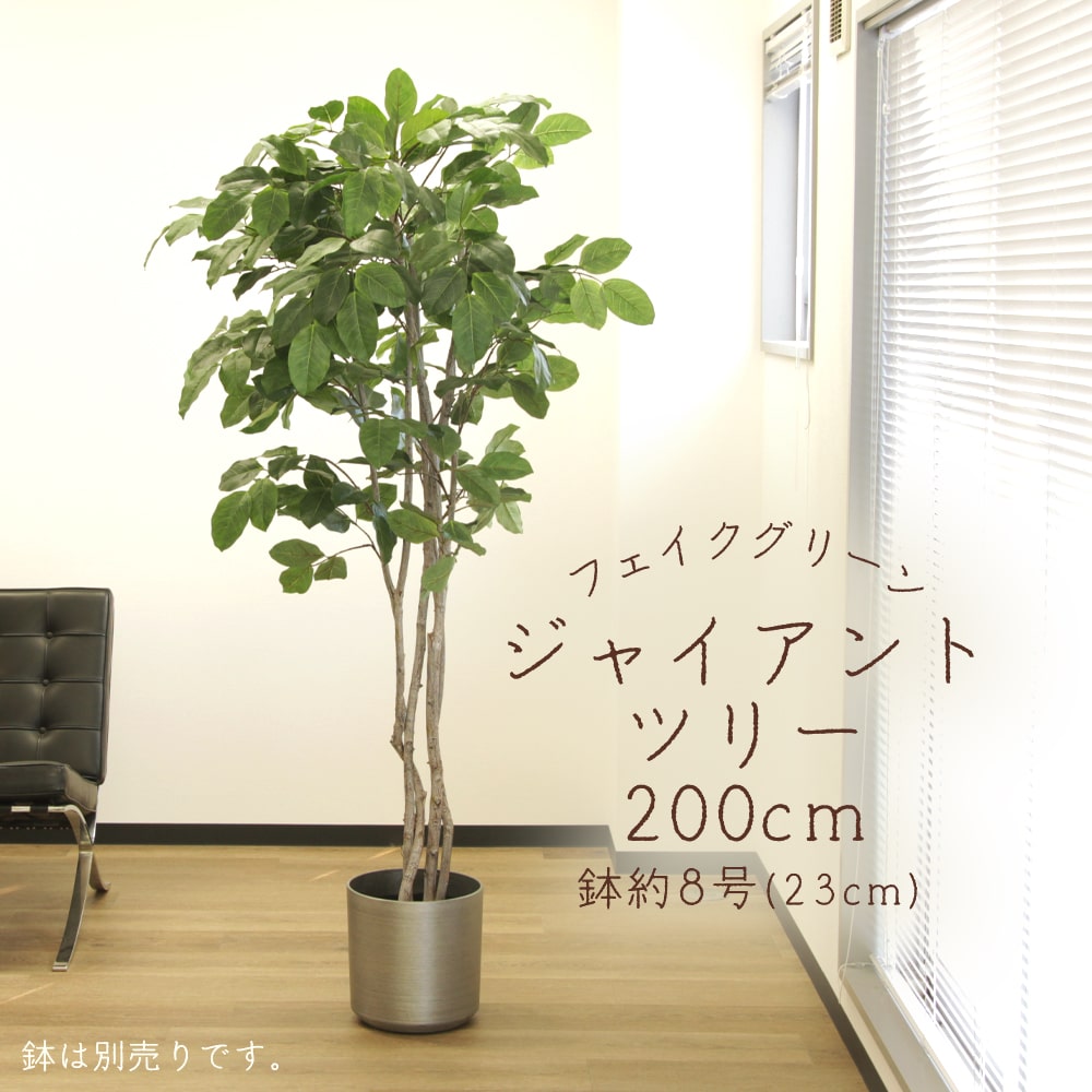 フェイクグリーン 観葉草木 とりよせ品 【製造業者直送】ジャイアントツリー(ポット付)200糎《代引不可・他商いものとの同梱不可》\u003cbr /\u003e \u003cbr /\u003e 観葉草木 2.0m 大型 アスカ ASCA アスカ人中