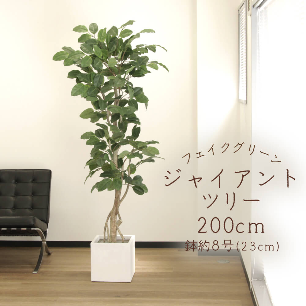 フェイクグリーン 観葉草木 とりよせ品 【製造業者直送】ジャイアントツリー(ポット付)200糎《代引不可・他商いものとの同梱不可》\u003cbr /\u003e \u003cbr /\u003e 観葉草木 2.0m 大型 アスカ ASCA アスカ人中