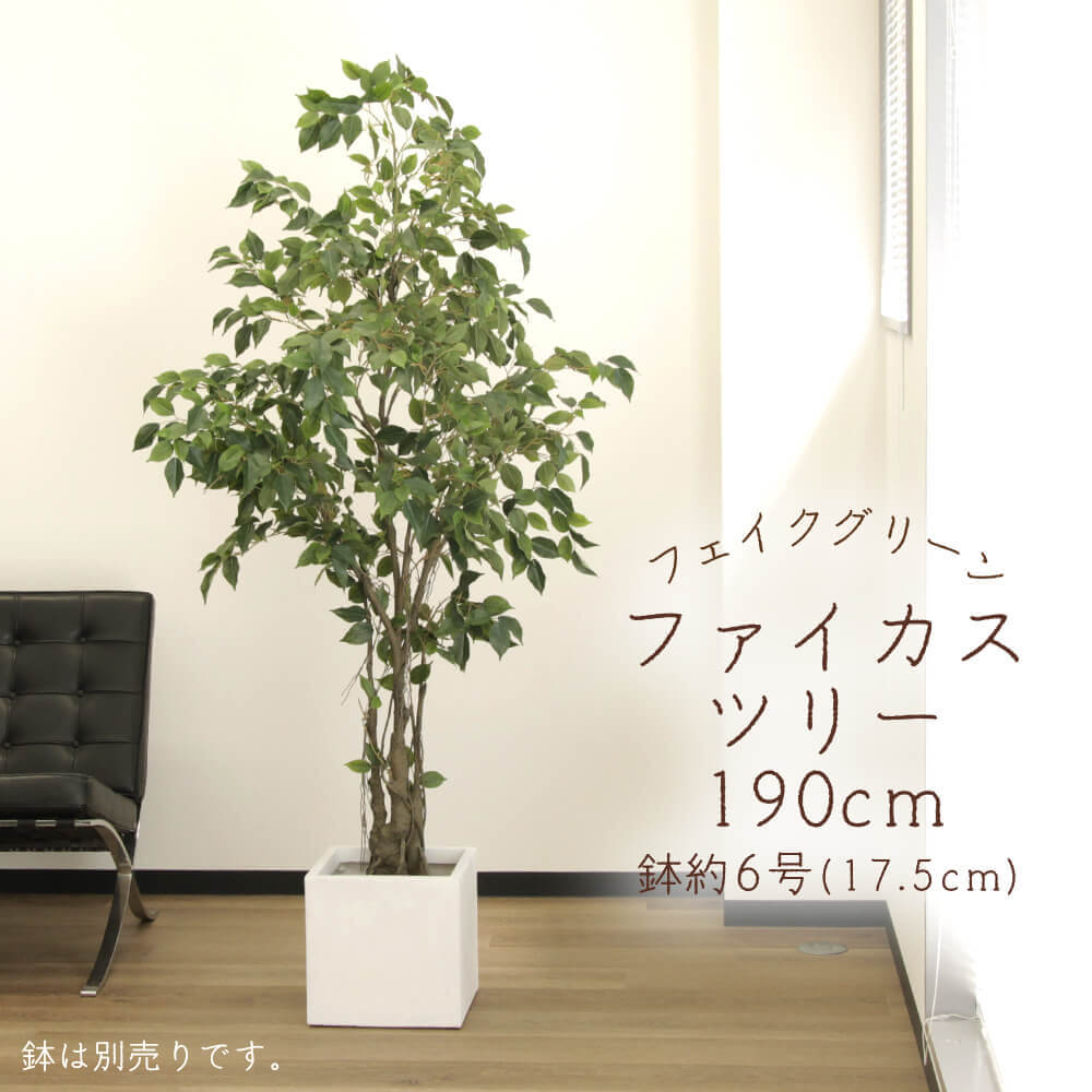 フェイクグリーン 観葉草木 とりよせ品 【製造業者直送】ファイカスツリー(ポット付) 190糎《代引不可・他商いものとの同梱不可》\u003cbr /\u003e \u003cbr /\u003e 観葉草木 1.9m 大型 春 アスカ ASCA アスカ人中